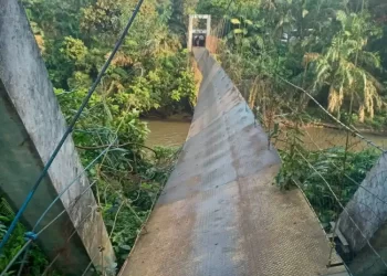 Jembatan Gantung di Dusun Satu, Desa Rantaubenar, Kecamatan Renahmendaluh, Tanjungjabung Barat yang putus. (Foto: sekato.id)