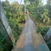 Jembatan Gantung di Dusun Satu, Desa Rantaubenar, Kecamatan Renahmendaluh, Tanjungjabung Barat yang putus. (Foto: sekato.id)