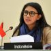 Anggota BKSAP DPR RI, Irine Yusiana Roba (foto: net)
