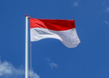 Bendera Merah Putih (foto: net)