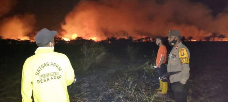 Karhutla di Provinsi Jambi (foto: istimewa/net)