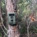 Camera Trap (foto:net)