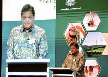 Menko Perekonomian, Airlangga (foto: ist)