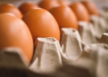 Jokowi Janji Akan Turunkan Harga Telur Ayam 2 Minggu Kedepan