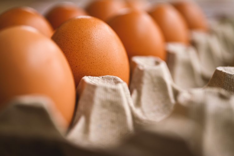 Jokowi Janji Akan Turunkan Harga Telur Ayam 2 Minggu Kedepan