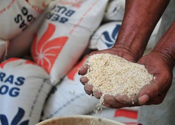 Perum Bulog Akan Impor Beras