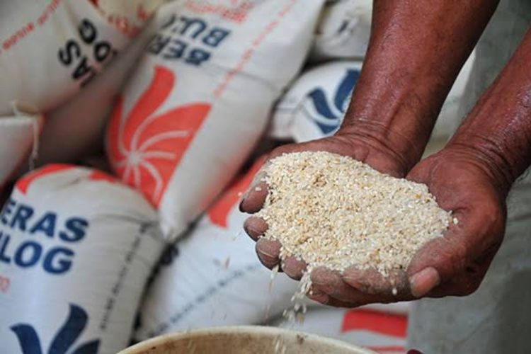 Perum Bulog Akan Impor Beras