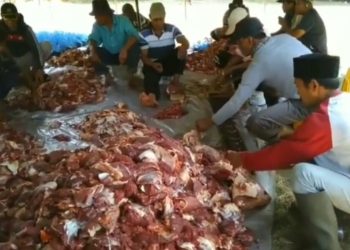 Keliru Atau Lupa Pada Saat Pembagian Daging Korban, Berikut Syarat Syarat Pembagianya