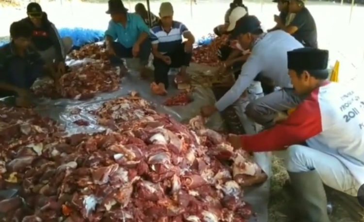 Keliru Atau Lupa Pada Saat Pembagian Daging Korban, Berikut Syarat Syarat Pembagianya