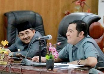 Waka DPRD Tanjabbar Dorong Pemkab Ambil Langkah Hukum Ke MA Terkait Di Sahkannya Perda RTRW Oleh DPRD Provinsi