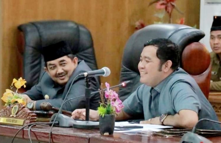 Waka DPRD Tanjabbar Dorong Pemkab Ambil Langkah Hukum Ke MA Terkait Di Sahkannya Perda RTRW Oleh DPRD Provinsi
