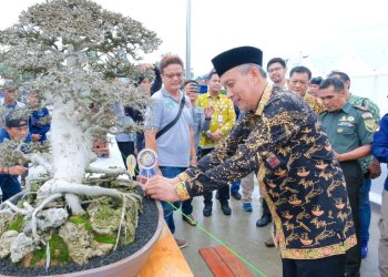 Sekda Tanjab Barat Buka Secara Resmi Pameran dan Kontes Bonsai Nasional Tahun 2023