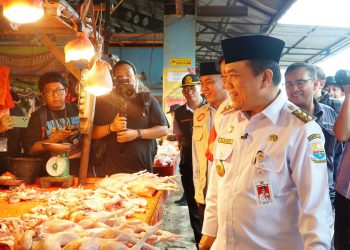 Jelang Puasa dan Lebaran, Gubernur Al Haris Pastikan Stok dan Harga Bahan Pokok Stabil