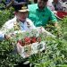 Bertemu dan Berdialog dengan Petani di Desa Tidar Kuranji, Gubernur Al Haris Dukung Pengembangan Komoditas Cabai