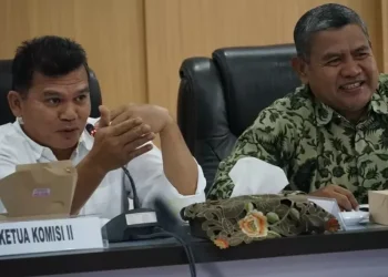 Gelar Hearing Persoalan P2TL, Komisi II DPRD Kota Jambi Minta PLN Laporkan Data Pajak PJU dan Denda P2TL tiap Semester
