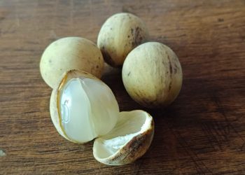 Ini Manfaat Mengkonsumsi Buah Duku bagi Kesehatan Tubuh