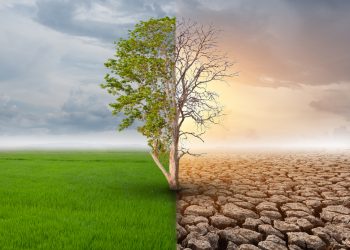 BMKG Ungkap Perubahan Iklim Sudah Mendekati Batas Kesepakatan Bersama pada Perjanjian Paris