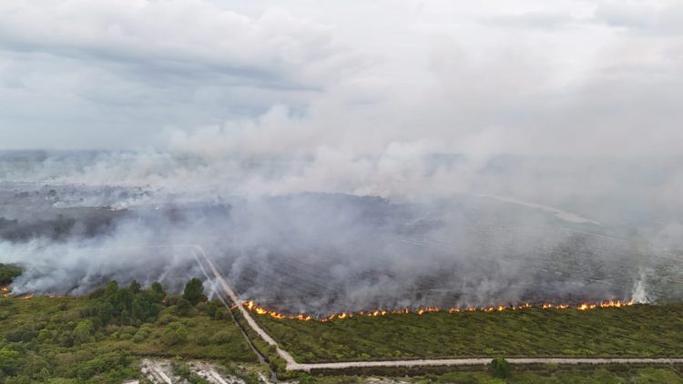 Angin Kencang, Kebakaran Lahan Kawasan Pipa PetroChina Susah Dipadamkan