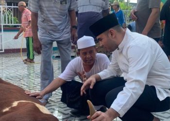 DPRD Jambi Kurban Simental Buat Disembelih Warga Tanjungjabung Barat