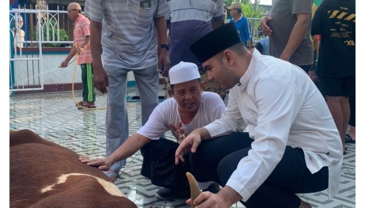 DPRD Jambi Kurban Simental Buat Disembelih Warga Tanjungjabung Barat