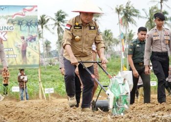 Gubernur Al Haris Bersama Forkopimda Jambi Tanam Bibit Jagung Dukung Swasembada Pangan