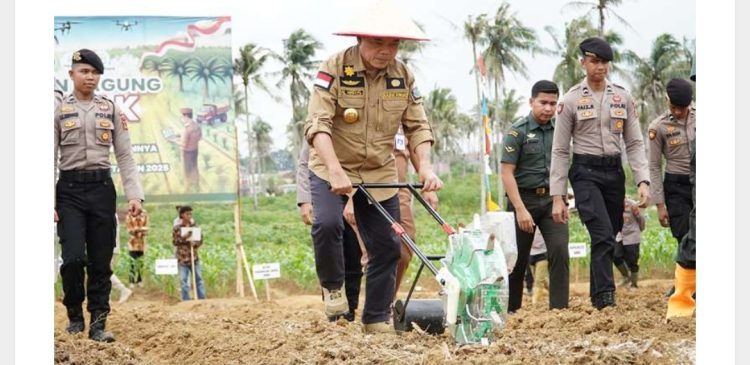 Gubernur Al Haris Bersama Forkopimda Jambi Tanam Bibit Jagung Dukung Swasembada Pangan
