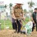 Gubernur Al Haris Bersama Forkopimda Jambi Tanam Bibit Jagung Dukung Swasembada Pangan