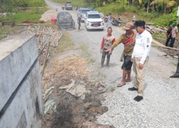 Bupati Tanjab Barat Pastikan Pengerjaan Perbaikan Oprit Jembatan di 13 Titik Berjalan Lancar