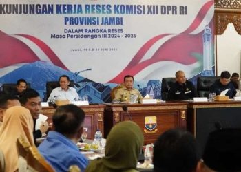 Depan Komisi XII DPR RI, Gubernur Al Haris Sebut Pemprov Jambi Komitmen Selesaikan Persoalan PI 10%