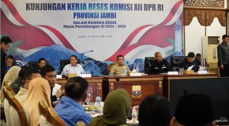 Depan Komisi XII DPR RI, Gubernur Al Haris Sebut Pemprov Jambi Komitmen Selesaikan Persoalan PI 10%