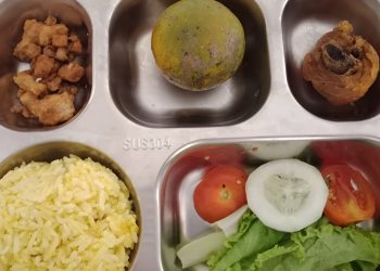 Ilustrasi Makanan Bergizi Gratis (MBG)