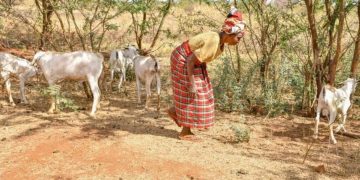 Africa Zero Hunger