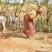 Africa Zero Hunger