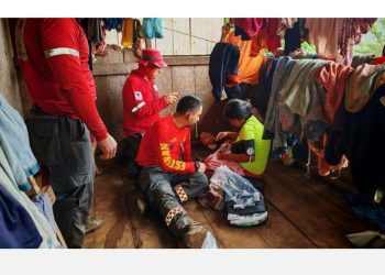 Palang Merah Kosta Rika dan Universitas Kosta Rika Perkuat Respons Gigitan Ular di Pedesaan