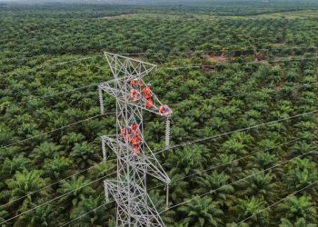 PLN Dorong Integrasi Kelistrikan Hijau ASEAN Lewat Pembangunan ASEAN Power Grid
