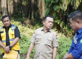 Gubernur Jambi Al Haris Tinjau Proyek Pelebaran Jalan Ness, Pastikan Kualitas dan Tepat Waktu