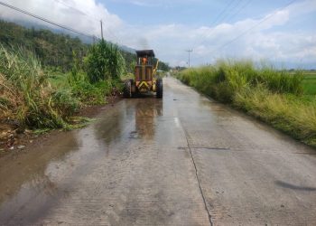 Dinas PUPR Provinsi Jambi Gerak Cepat Tangani Rumput Liar di Ruas Jalan Provinsi Kerinci
