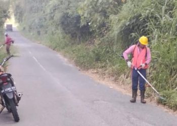 Antisipasi Jalur Sempit dan Rawan, PUTR Jambi Gencarkan Tebas Bayang dan Dirikan Posko Mudik
