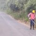 Antisipasi Jalur Sempit dan Rawan, PUTR Jambi Gencarkan Tebas Bayang dan Dirikan Posko Mudik