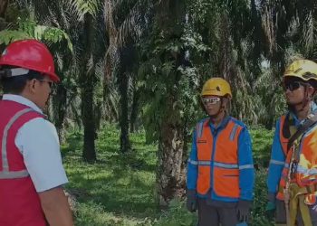 Kabel JTR Hilang, PLN ULP Telanaipura Bergerak Cepat Pulihkan Pasokan Listrik di Wilayah NESS
