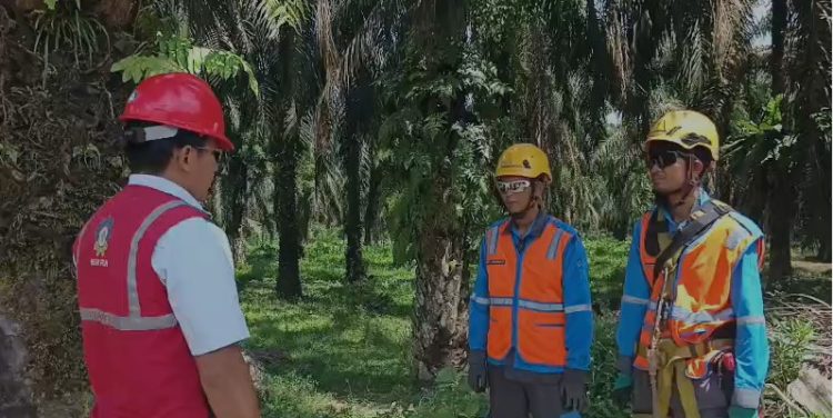 Kabel JTR Hilang, PLN ULP Telanaipura Bergerak Cepat Pulihkan Pasokan Listrik di Wilayah NESS