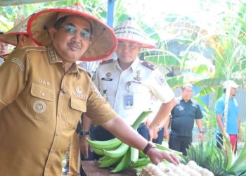 Bupati Anwar Sadat Serahkan Kunci Bedah Rumah, Tinjau Panen Raya Bersama Warga Binaan Lapas