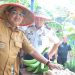 Bupati Anwar Sadat Serahkan Kunci Bedah Rumah, Tinjau Panen Raya Bersama Warga Binaan Lapas