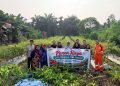 Panen Raya Cabai di Tanjab Barat, Kelompok Tani Binaan Jadestone Energy Dorong Kesejahteraan Petani